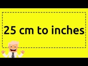 25 cm to inches